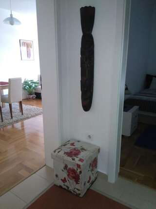 Апартаменты Dream Apartman Подгорица Апартаменты с 1 спальней-21